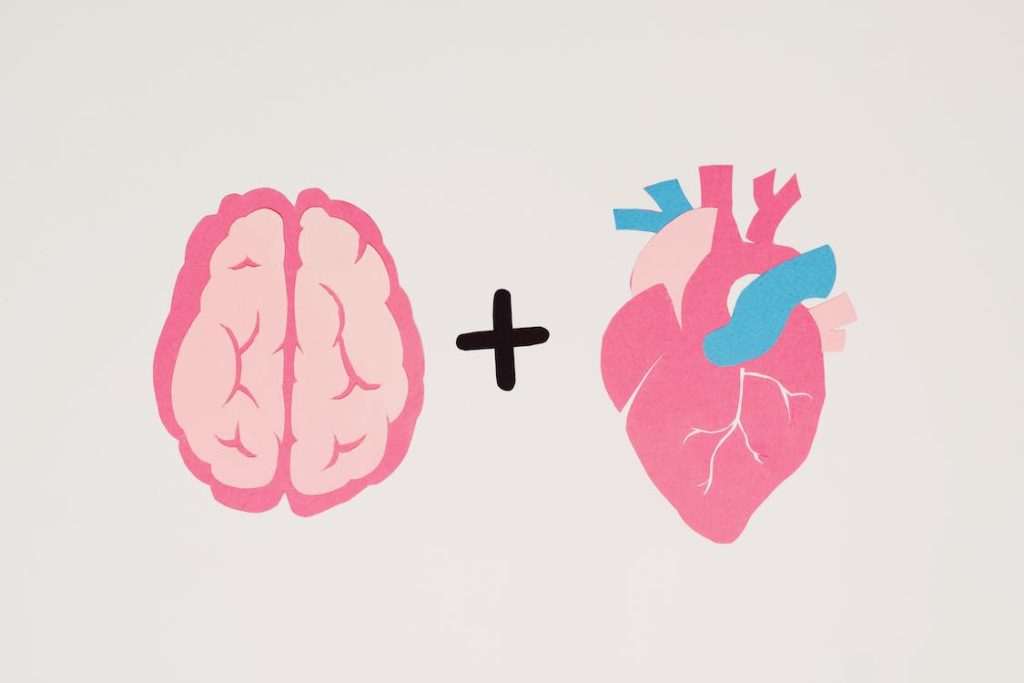 Aivot ja sydän